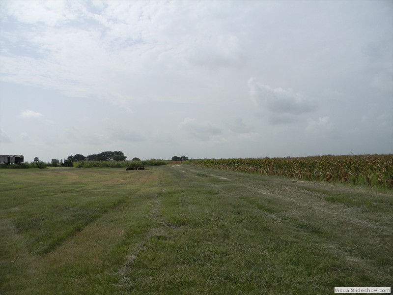 01-View of a corn field