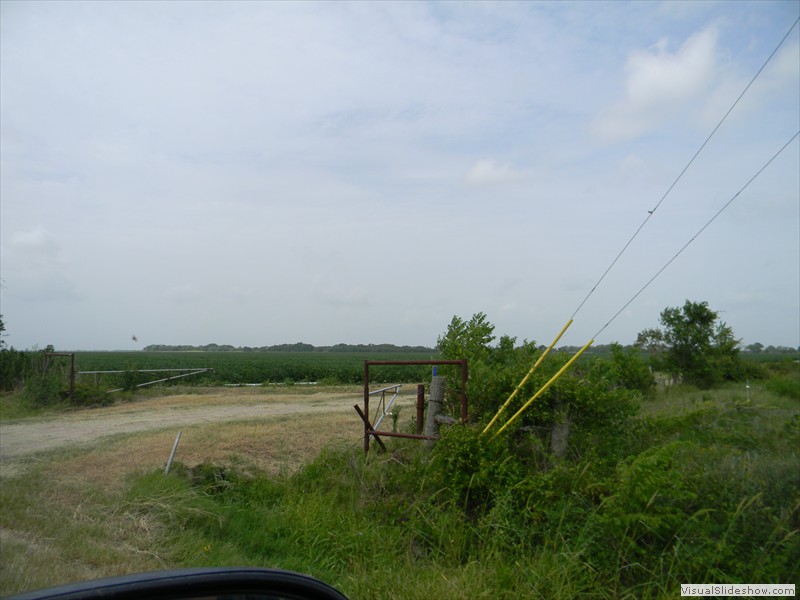 03-2nd entrance to the soybean field