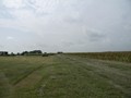 01-View of a corn field