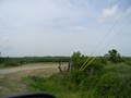 03-2nd entrance to the soybean field